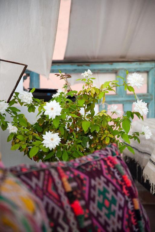 Riad Le J Marakeş Dış mekan fotoğraf